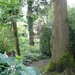 DSC06649