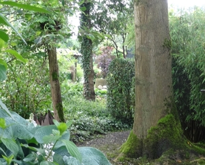 DSC06649