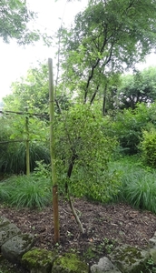 DSC06650
