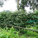 DSC06651