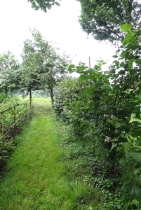 DSC06654