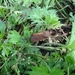 DSC06655