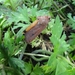 DSC06656