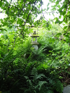 DSC06659