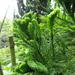 DSC06660