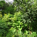 DSC06665