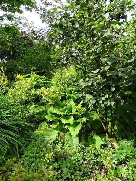 DSC06665