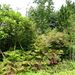DSC06666