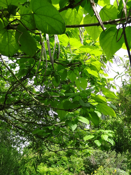 DSC06669