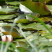 DSC06672
