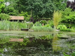 DSC06678