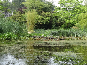 DSC06679