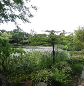DSC06694