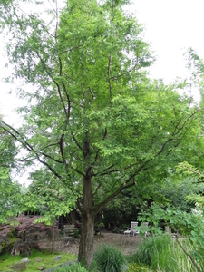 DSC06697