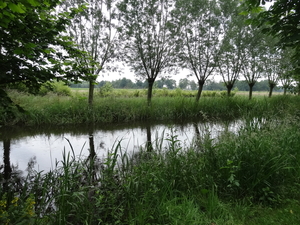DSC06699