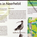 Geel - Neerhelst 18 (2)