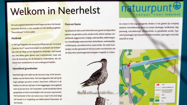Geel - Neerhelst 18 (2)