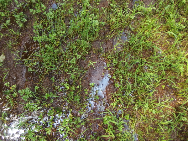 P6230121