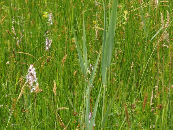 P6230140