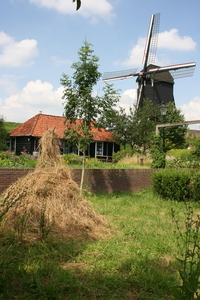 IMG_5347