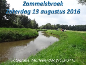 2016-08-13 ZAMMELSBROEK (MVW)