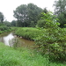 DSC06957