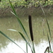 DSC06964