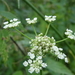 DSC06965