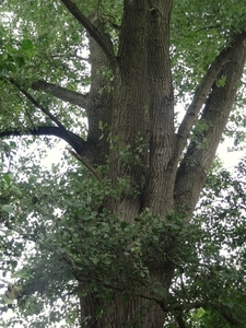 DSC06970
