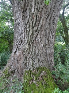 DSC06971