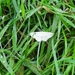 DSC06974