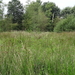 DSC06987