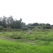 DSC06997