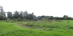 DSC06997