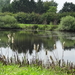 DSC06996