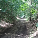 DSC07004