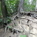 DSC07002