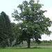DSC07006