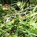 DSC07008