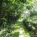 DSC07010