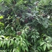 DSC07012