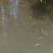 DSC07016