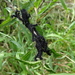 DSC07025