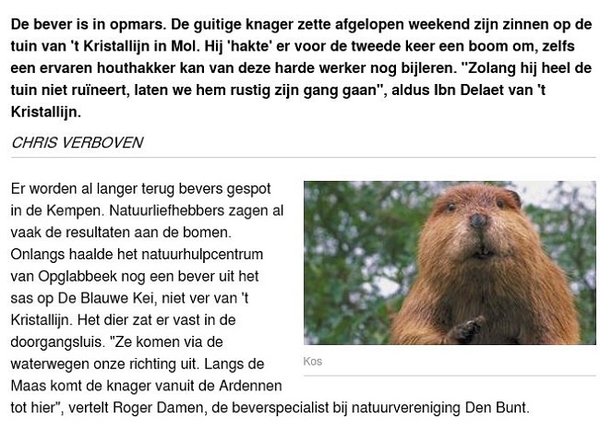 HLN-Bever Mol-Rauw 02