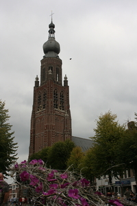 IMG_6010