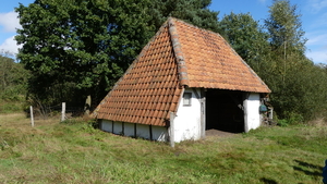 P1000933