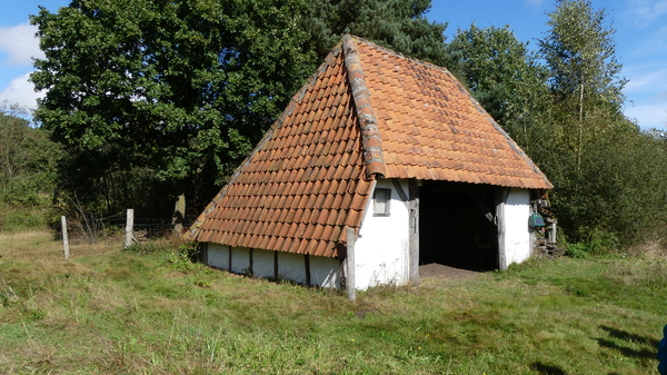 P1000933