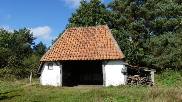 P1000941