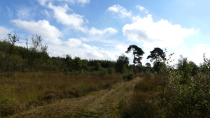 P1000944a