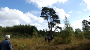 P1000962